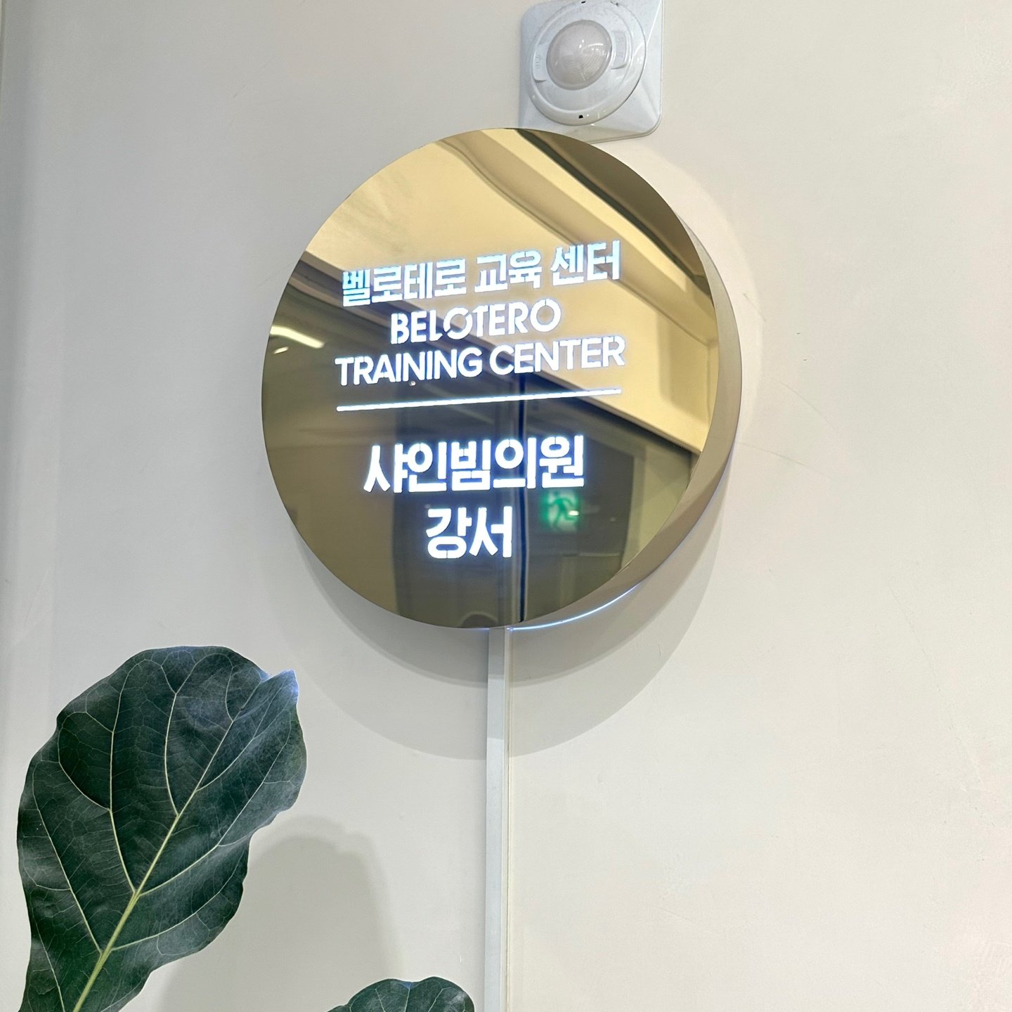 강서구 쥬베룩 피부과